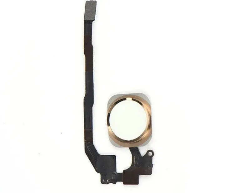 اثر انگشت و دکمه هوم آیفون 5s (iPhone 5s Home Button